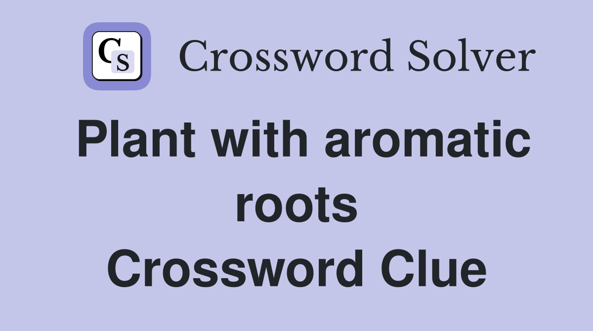 Plant with aromatic roots Crossword Clue Answers Crossword Solver
